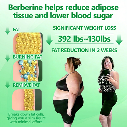 Berberine Slimming Microneedle Patch | 10-in-1 Weight Management Support