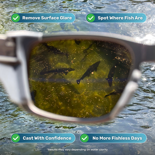 Proxy® Fishing Glasses